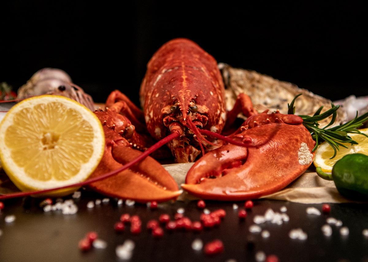 Live Or Cooked Irish Lobster 450 550 Grams Seafood2go